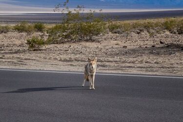 Droga, która zmieniła życie. Niezwykła wyprawa niezwykłych ludzi