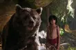 Nowości w kinach. Sprawdź, na co warto się wybrać [WIDEO]