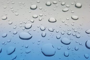 Meteorolodzy ostrzegają - do wieczora będzie wiało