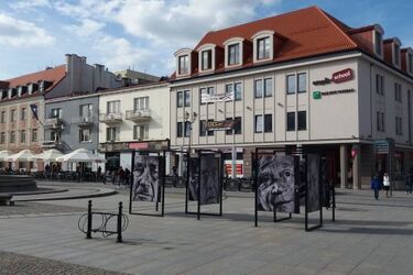 Plenerowa wystawa stanęła na Rynku Kościuszki