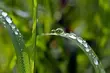 Synoptycy zapowiadają opady deszczu