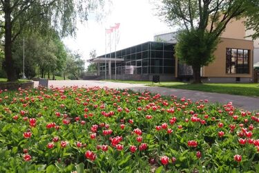 Nowa bajka dla dzieci. Dobra zabawa gwarantowana 