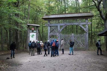 Z Białegostoku do Białowieży. Artyści wychodzą w plener [WIDEO]