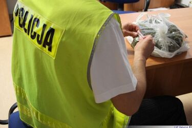 Mieszkaniec osiedla Słoneczny Stok zatrzymany za posiadanie marihuany