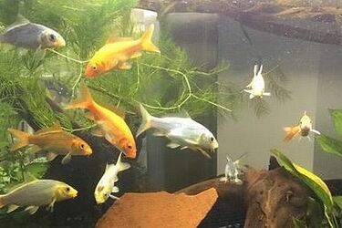 Podwodny świat 5 kontynentów w Instytucie Biologii UwB