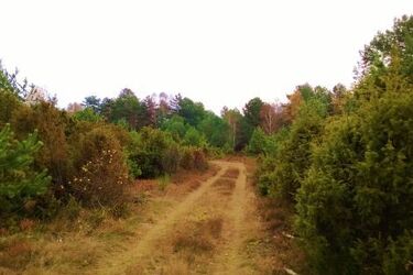 Radzieckie pomniki z całej Polski trafią do województwa podlaskiego?