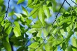 Temperatura wzrośnie do 17°C