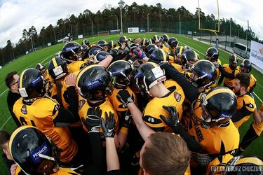 Sportowy rozkład jazdy. Czyli co, gdzie, jak i kiedy