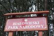 Puszcza Białowieska zostanie skreślona z listy UNESCO? Eksperci odwiedzą Polskę