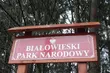Puszcza Białowieska zostanie skreślona z listy UNESCO? Eksperci odwiedzą Polskę