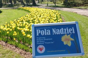Pola Nadziei dały plon. Zebrano ponad 200 tys. zł