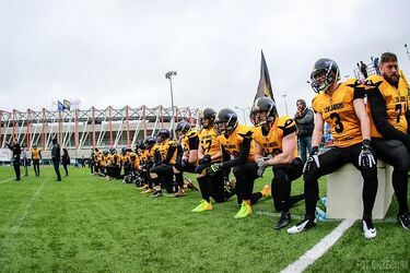 Pantery jeszcze za silne. Porażka Lowlandersów we Wrocławiu