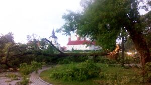 Po wichurach setki powalonych drzew w okolicach Białegostoku