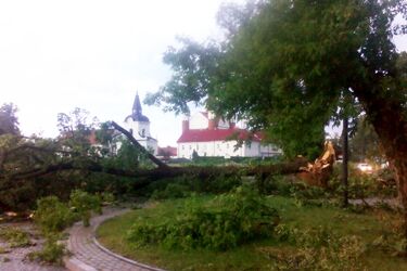 Po wichurach setki powalonych drzew w okolicach Białegostoku