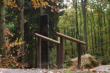 Powiesił na drzewie kawałek mięsa naszpikowany hakami. Chciał zwabić zwierzęta 