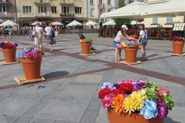 Kolorowe kwiaty w donicach. Ciekawa instalacja stanęła na Rynku Kościuszki