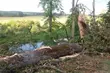 Zakaz wstępu do lasów po ostatnich nawałnicach w regionie
