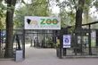 Niewidomi ZOO-baczą. W ogrodzie zoologicznym staną specjalne tablice informacyjne