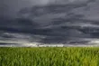 Jeszcze dziś wystąpią burze z gradem. IMGW informuje o I stopniu zagrożenia