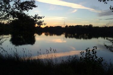 Przyjechali nad jezioro tylko po to, aby pobić 25-latka 