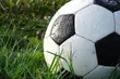 Sportowy rozkład jazdy. Czyli co, gdzie, jak i kiedy