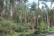 Bilans poniedziałkowej burzy. 2,5 tys. domów bez prądu