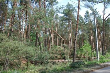 Bilans poniedziałkowej burzy. 2,5 tys. domów bez prądu
