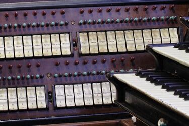 Pierwszy taki koncert. W katedrze wystąpi organista z Portugalii