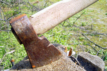 Krwawa kłótnia między braćmi