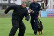 Eliminacje do XVI Kynologicznych Mistrzostw Policji. Najlepsi policjanci z Białegostoku