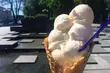 U Matczaka. Wytwarzają lody na podstawie receptury z niemieckiej przedwojennej cukierni