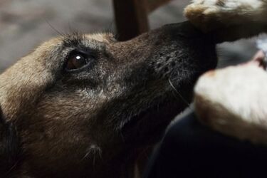 Ciekawe warsztaty na wakacje