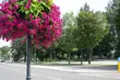 W weekend chłodniej i pochmurno