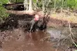 Pierwszy taki bieg na Podlasiu. W Ogrodniczkach odbędzie się ekstremalny Hero Run