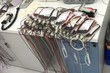 Ambulans pojawi się w centrum Białegostoku. Potrzebna jest krew wszystkich grup