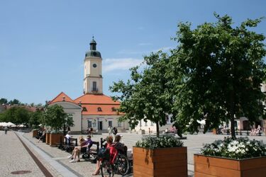 Kultura na długi weekend. Mnóstwo imprez w plenerze [WIDEO]