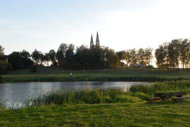 Święto sera w Korycinie. Będzie konkurs dojenia krów i lokalne specjały