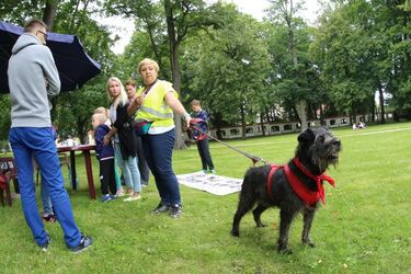 Takiej liczby nie wymieniano od wielu lat. Pozytywny rekord w schronisku