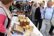 Kultura na weekend. Koncerty w plenerze i imprezy za miastem [WIDEO]