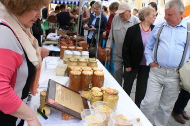 Kultura na weekend. Koncerty w plenerze i imprezy za miastem [WIDEO]