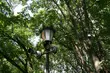 Termometry wskażą ponad 20°C