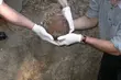 Przy ul. Wysockiego odnaleziono ludzkie szczątki