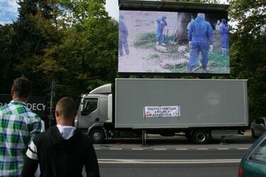 Protest rolników. Pokazali drastyczny film i żądają odstrzału dzików