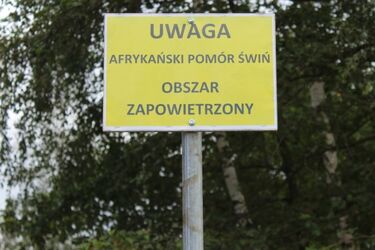 Komisja Europejska obejmuje całe województwo podlaskie strefą zagrożenia ASF