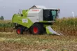 Pokazy maszyn, wykłady i prezentacja ponad 130 odmian. Czas na Podlaski Dzień Kukurydzy