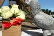 Pomysł na biznes – pudełka z kwiatami. Flower Boxy pojawiły się w Białymstoku
