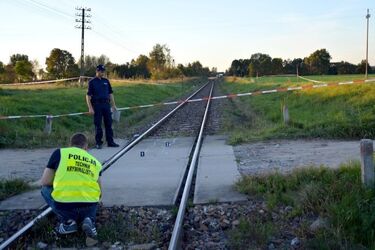 Tragedia na torach kolejowych. Zginęło dwóch nastolatków [ZDJĘCIA]