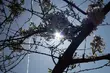 Spadnie ciśnienie atmosferyczne