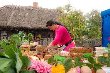 Rodzinny piknik. Będą koncerty, konkursy i kiermasz