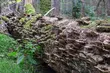 Do zdobycia jest 20 mln zł na miejsca pracy w gminach z Naturą 2000